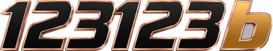 123123b